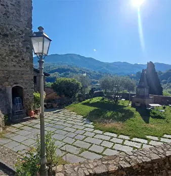 Foto annuncio 5
