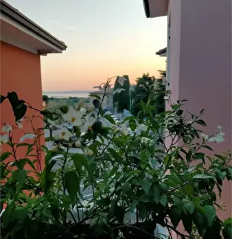 Foto annuncio 9