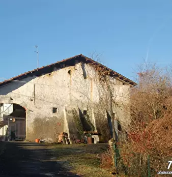 Foto annuncio 1