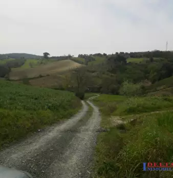 Foto annuncio 6