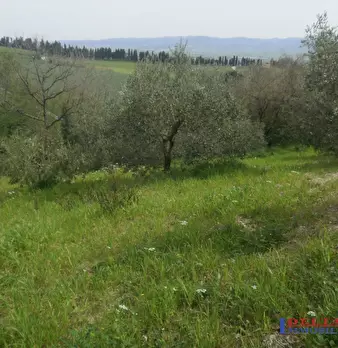 Foto annuncio 5