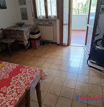 Foto annuncio 4