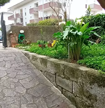 Foto annuncio 3