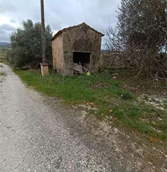 Foto annuncio 9