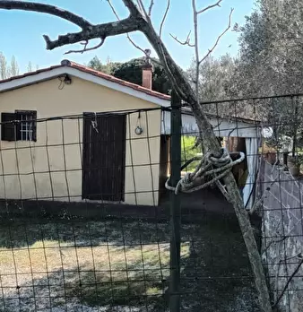 Foto annuncio 1