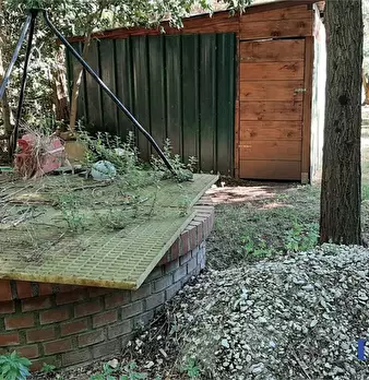 Foto annuncio 4