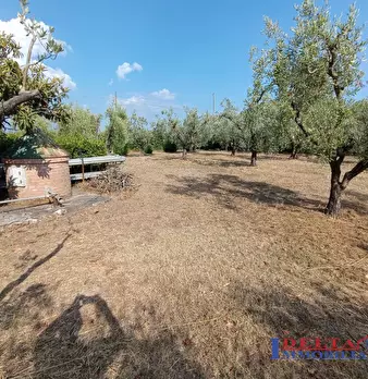 Foto annuncio 6