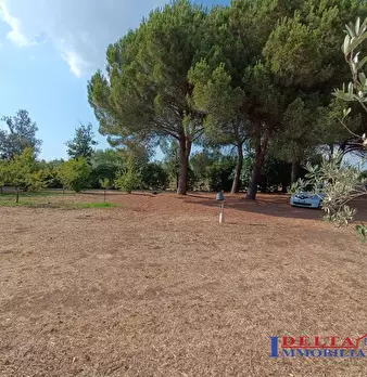 Foto annuncio 10
