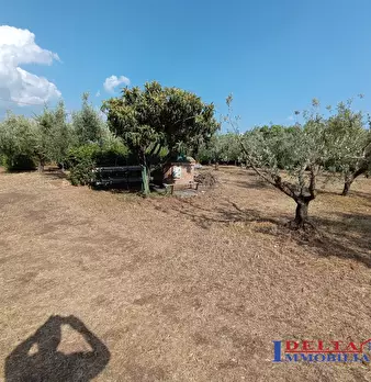 Foto annuncio 4