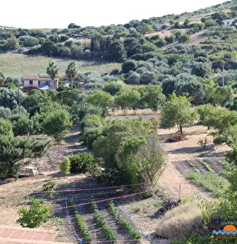 Foto annuncio 6