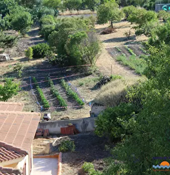 Foto annuncio 7