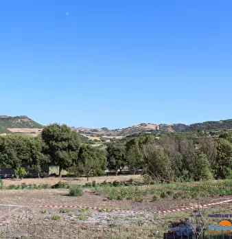 Foto annuncio 4
