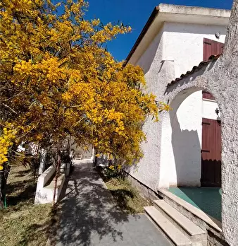 Foto annuncio 7