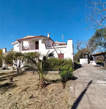 Foto annuncio 2