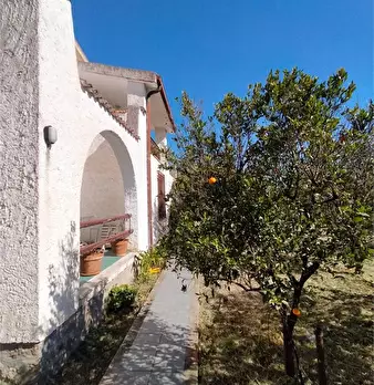 Foto annuncio 5