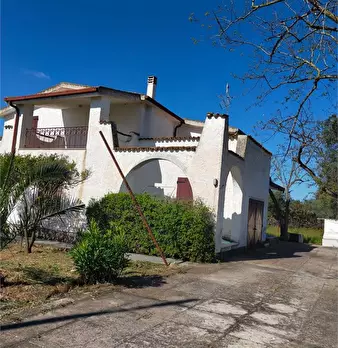 Foto annuncio 3