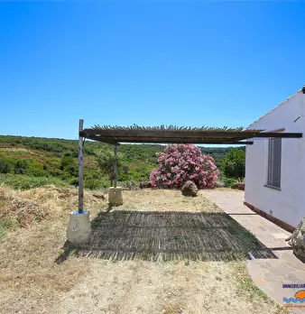 Foto annuncio 6