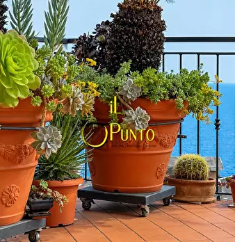 Foto annuncio 6