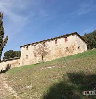 Foto annuncio 10