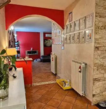 Foto annuncio 3