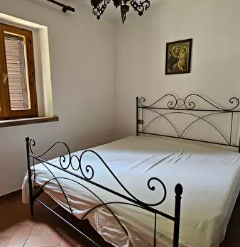 Foto annuncio 7