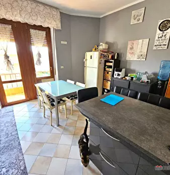 Foto annuncio 7
