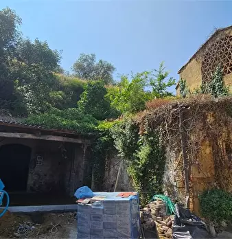 Foto annuncio 5