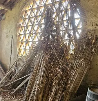 Foto annuncio 6