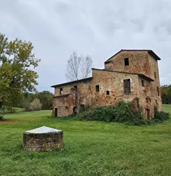 Foto annuncio 2