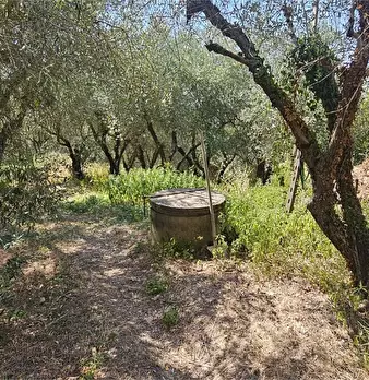 Foto annuncio 3
