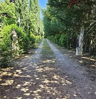 Foto annuncio 9
