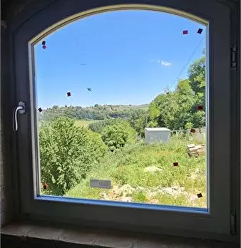 Foto annuncio 7