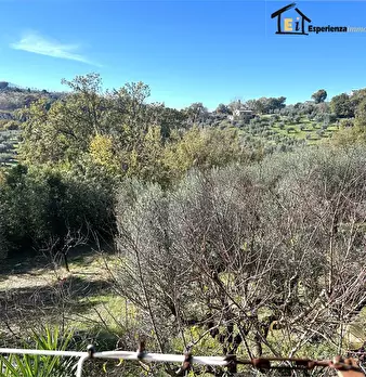 Foto annuncio 8