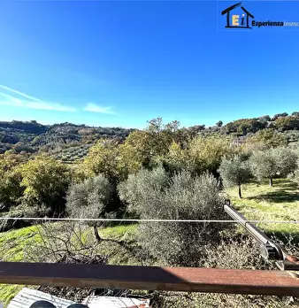 Foto annuncio 6
