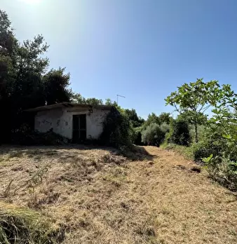 Foto annuncio 2