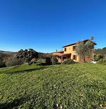Foto annuncio 5
