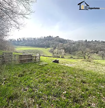 Foto annuncio 4