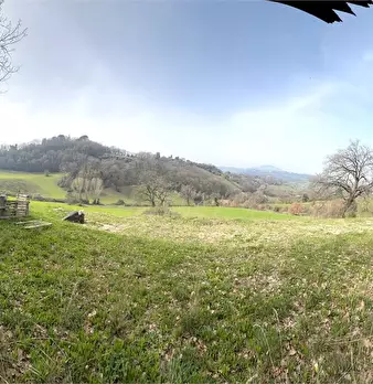 Foto annuncio 1