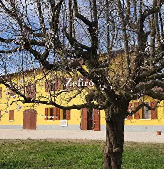 Foto annuncio 10
