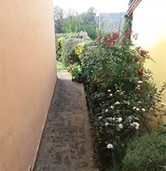 Foto annuncio 5