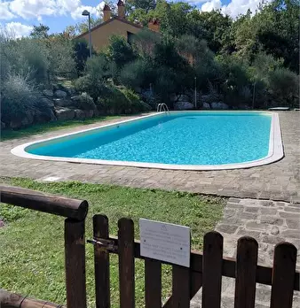 Foto annuncio 8