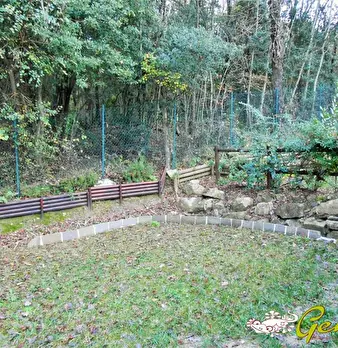 Foto annuncio 9