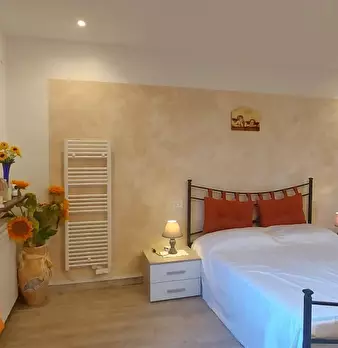 Foto annuncio 10