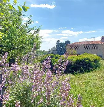Foto annuncio 2
