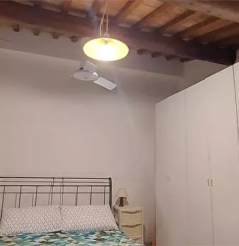 Foto annuncio 10