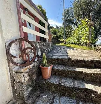 Foto annuncio 4