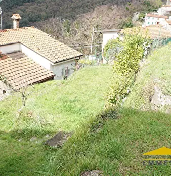 Foto annuncio 5