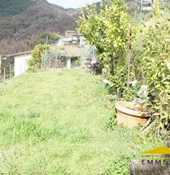 Foto annuncio 4