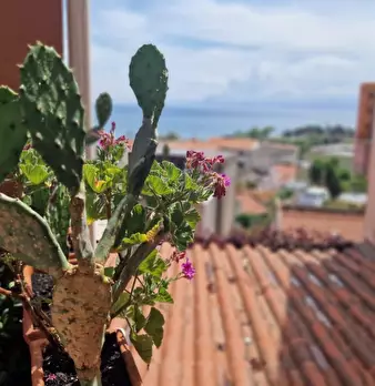 Foto annuncio 4