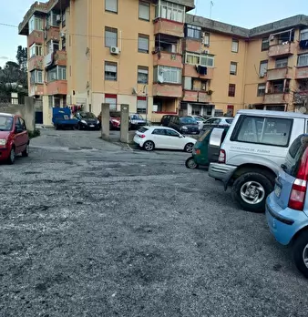 Foto annuncio 9